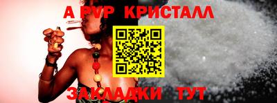 прущие грибы Можга