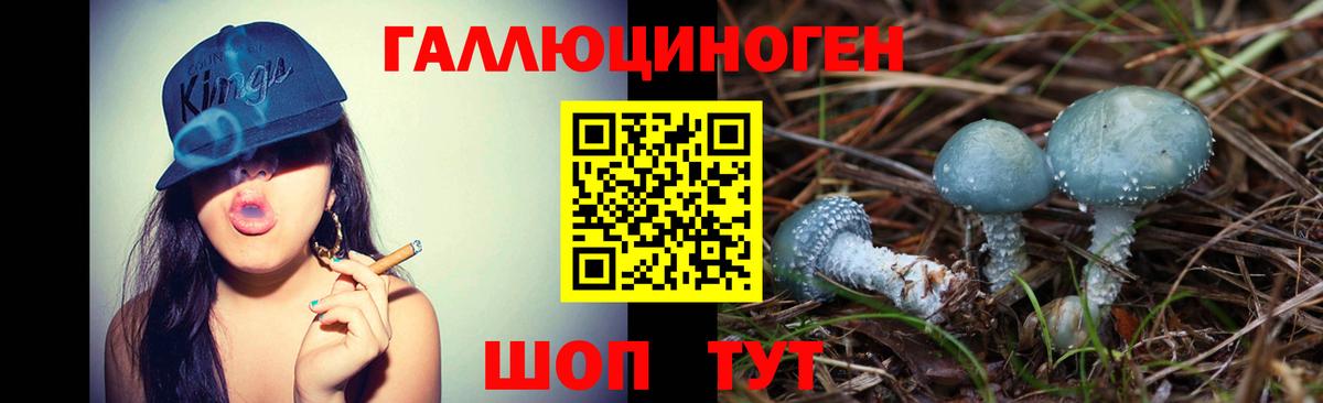 Псилоцибиновые грибы Cubensis Белорецк